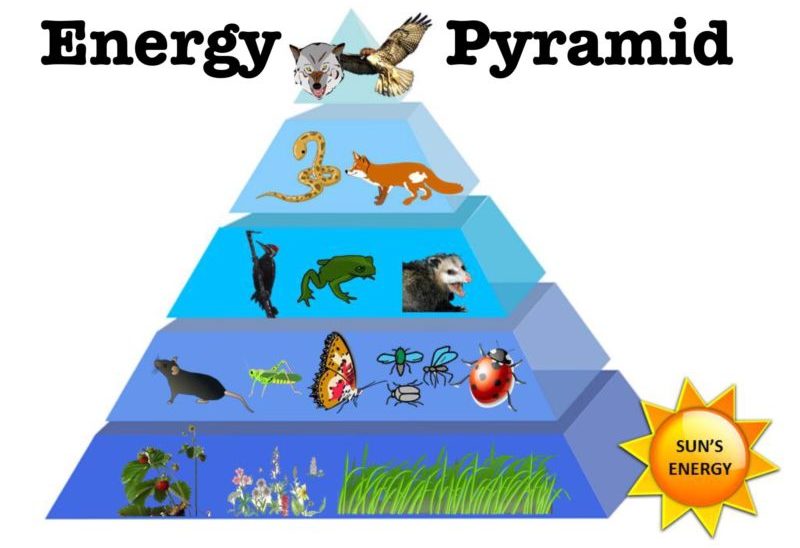 piramida energi