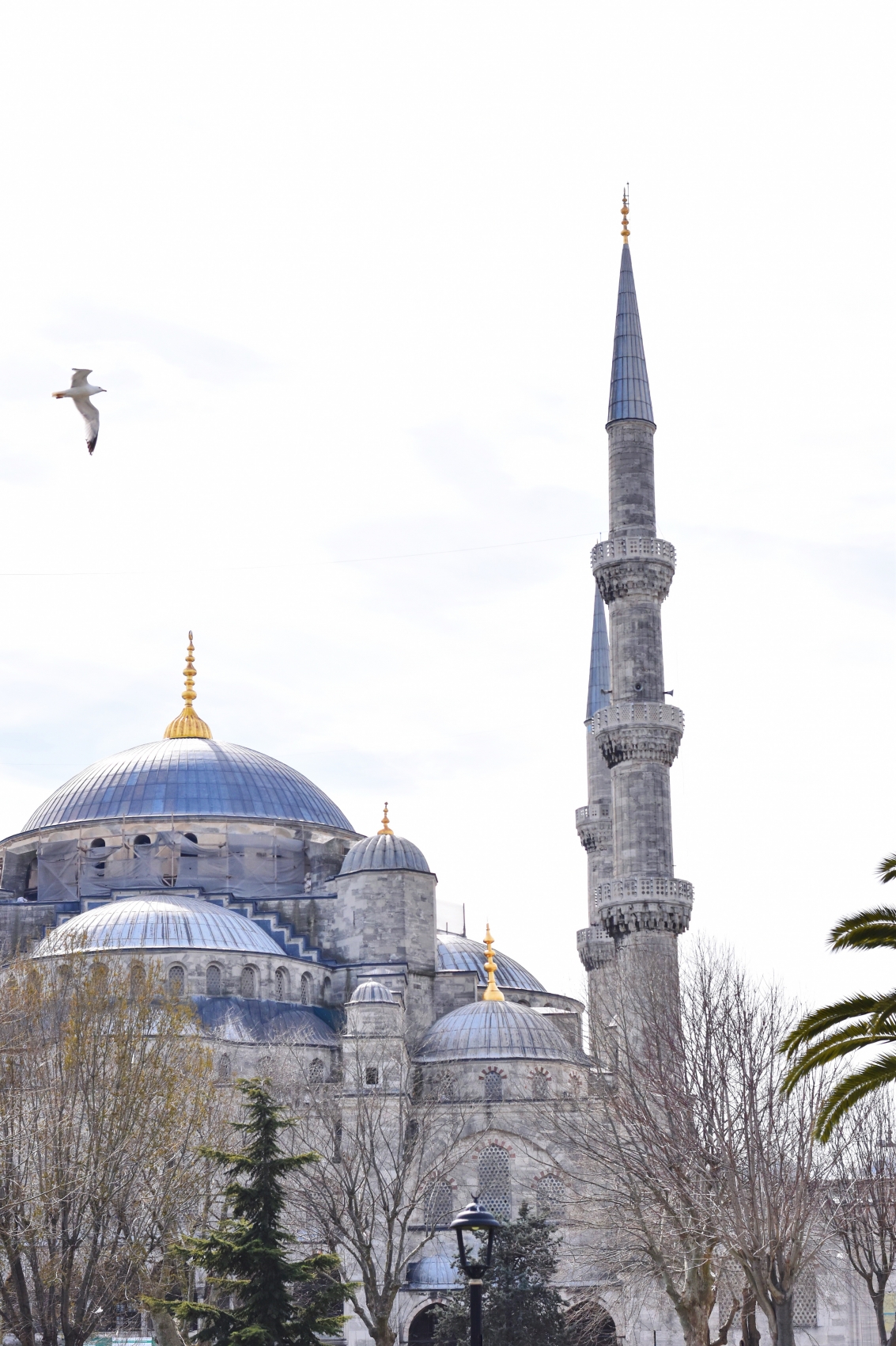 wallpaper masjid biru istanbul turki