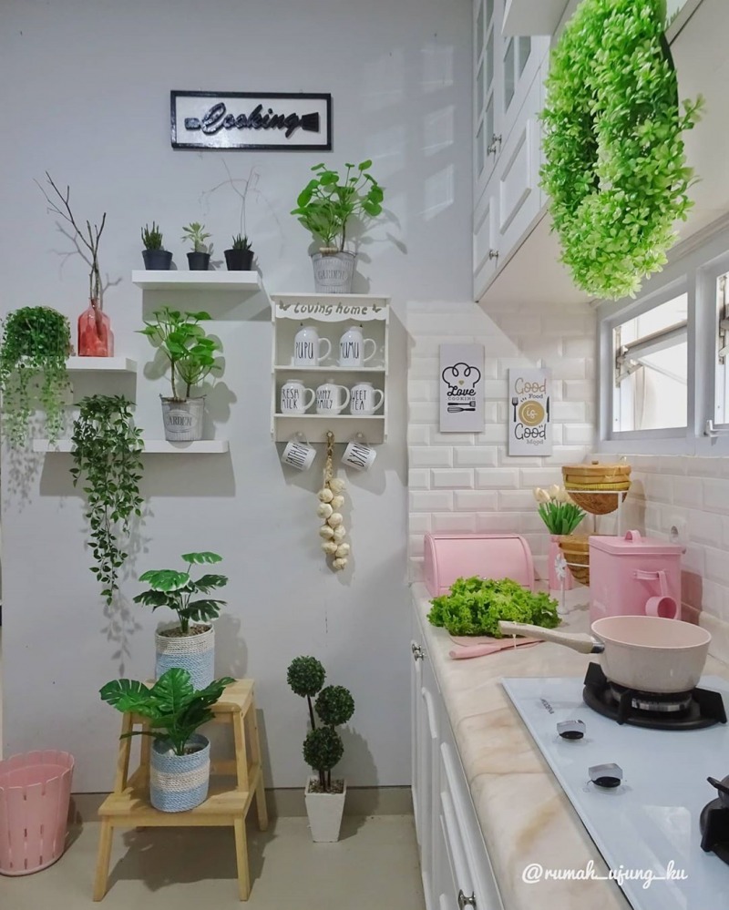 dapur dengan tanaman plastik