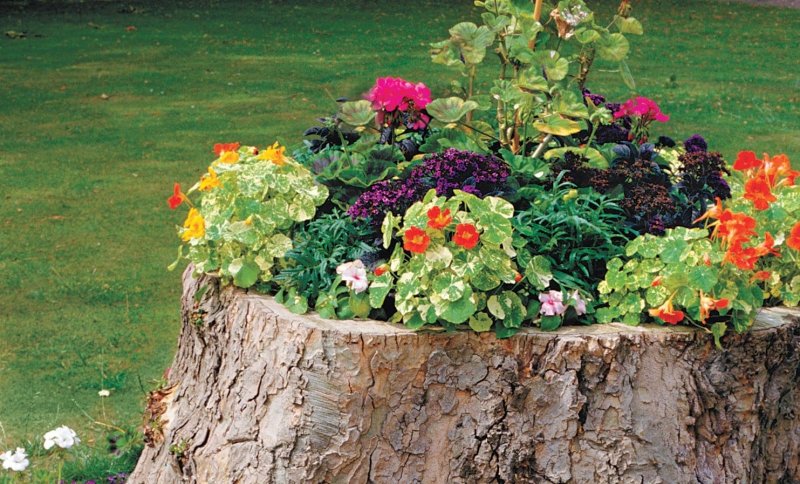 21. Tree Stump Planter