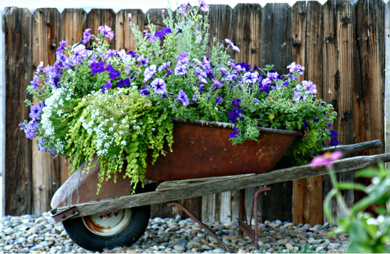 3. Planted Wheelbarrow with Cottage Style