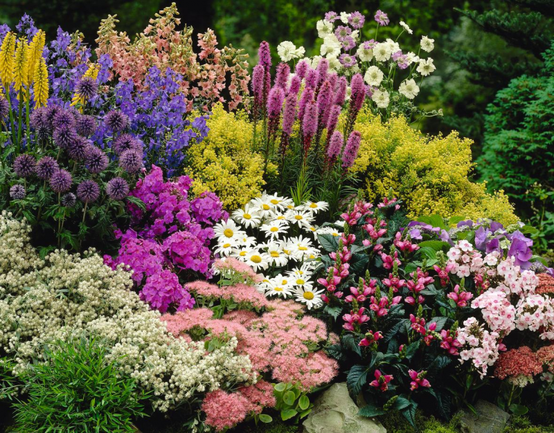 5. Multi-Season Flowerbed