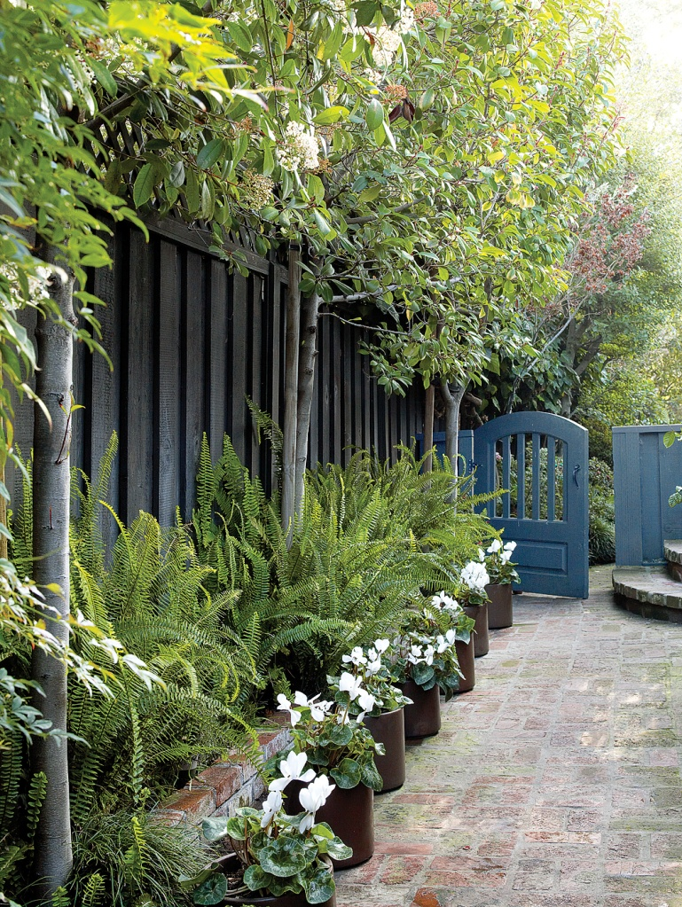 6. Easy-To-Change Potted Border