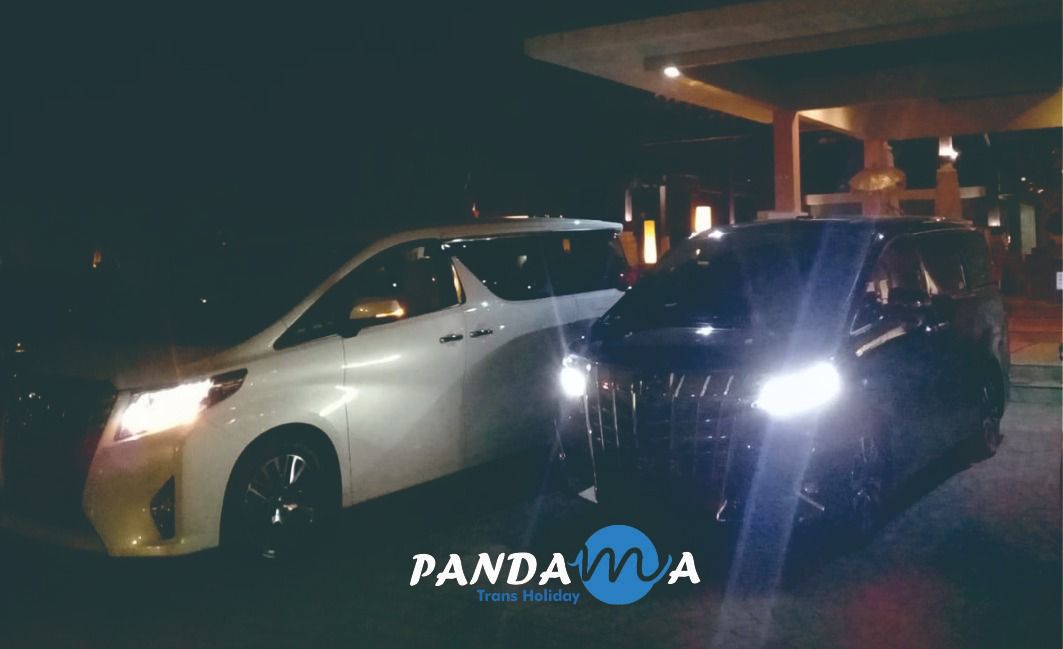 Sewa Alphard Surabaya