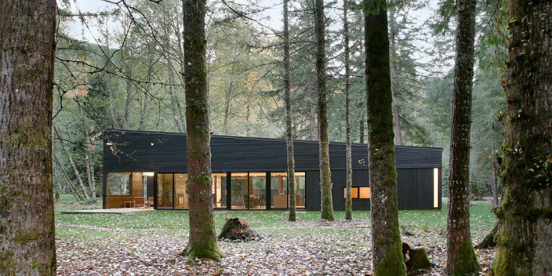 Desain Villa Mewah dan Kreatif di Tengah Hutan