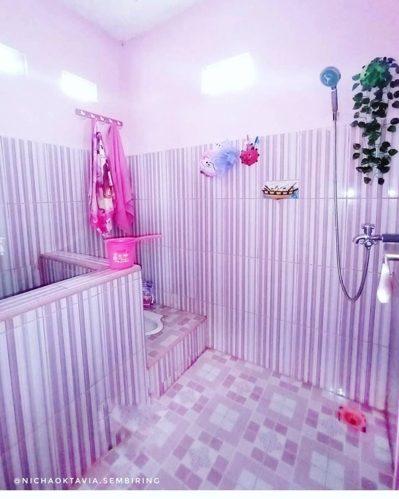 Kamar Mandi Jongkok Pink dengan Shower